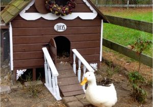 Diy Duck House Plans Gingerbread Duck House Plans Pdf Room In Coop for Up to