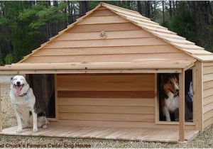 Dog House Plans for 2 Dogs Beautiful Free Dog House Plans for Two Dogs New Home