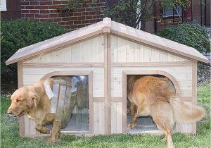 Dog House Plans for 2 Dogs Dog House Plans for Two Big Dogs