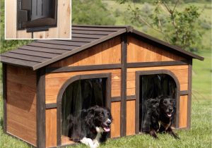 Dog House Plans for 2 Large Dogs Dog House Designs for Two Dogs