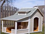 Dog House Plans for 2 Large Dogs Dog Houses for Multiple Dogs Extra Large Dog Houses Two