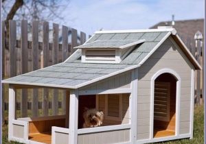 Dog House Plans for 2 Large Dogs Dog Houses for Multiple Dogs Extra Large Dog Houses Two