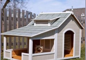 Dog House Plans for 2 Large Dogs Dog Houses for Multiple Dogs Extra Large Dog Houses Two Dog House Plans for 2 Large Dogs Dog Houses for Multiple Dogs Extra Large Dog Houses Two