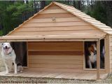 Dog House Plans for 3 Dogs Diy Dog Houses Dog House Plans Aussiedoodle and