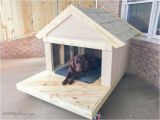 Dog House Plans for 3 Dogs How to Build A Remarkable Diy Dog House 21 Free Plans