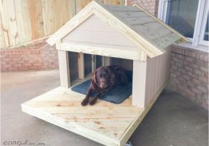 Dog House Plans for 3 Dogs How to Build A Remarkable Diy Dog House 21 Free Plans