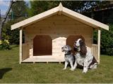Dog House Plans for Two Large Dogs Diy Dog House for Beginner Ideas Build Plans Large Dogs D
