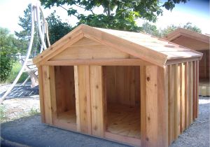 Dog House Plans for Two Large Dogs Diy Dog House for Beginner Ideas