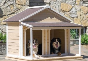 Dog House Plans for Two Large Dogs Large Double Dog House Plans Home Deco Plans