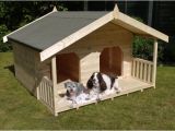 Dog House Plans for Two Large Dogs Luxury Double Dog Kennel Summerhouse for 2 Large Dogs Dog