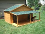 Dog House Plans for Two Large Dogs Your Big Friend Needs A Large Dog House Mybktouch Com