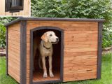 Dog House Plans Home Depot Igloo Dog House Door Fearsome 23 Luxury Home Depot Dog