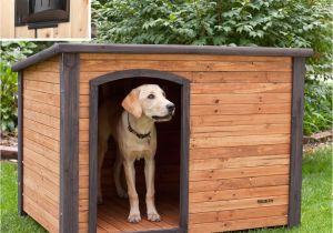 Dog House Plans Home Depot Igloo Dog House Door Fearsome 23 Luxury Home Depot Dog