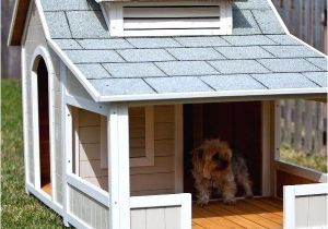 Dog House Plans Home Depot Outstanding Home Depot Dog House Plans Pictures Best