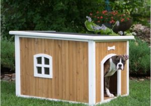 Dog House Plans with Hinged Roof Boomer George Chateau Lift top Roof Dog House at Hayneedle