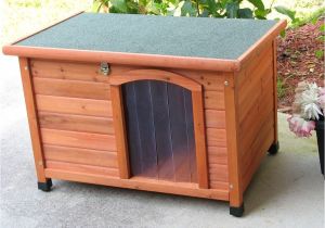 Dog House Plans with Hinged Roof Dog House Plans with Hinged Roof Inspirational Dog House