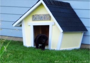 Dog House Project Plans 10 Free Dog House Plans Home Design Garden