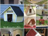 Dog House Project Plans 20 Brilliant Diy Dog Houses to Shelter Your Furry Friends