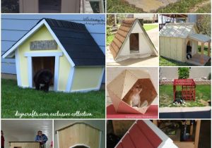 Dog House Project Plans 20 Brilliant Diy Dog Houses to Shelter Your Furry Friends