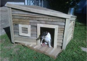 Dog House Project Plans Wooden Pallet Dog House Plans Pallet Wood Projects