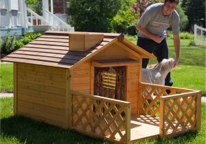 Dog House with Porch Plans Diy Dog House for Beginner Ideas