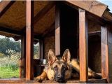Dog House with Porch Plans Free Dog House Plans with Porch Unique 20 the Best Free