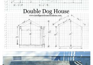 Double Door Dog House Plans 9 Reasons Cats Stop Using their Litter Box Intelligent