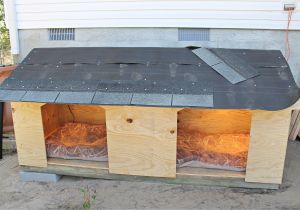 Double Door Dog House Plans Diy Double Door Dog House Intelligent Domestications Double Door Dog House Plans Diy Double Door Dog House Intelligent Domestications