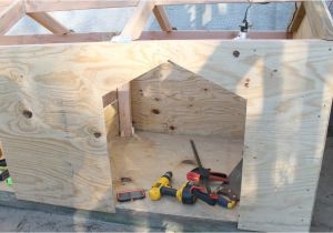 Double Door Dog House Plans Diy Double Door Dog House Intelligent Domestications