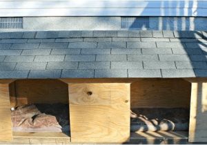 Double Door Dog House Plans Doghouse Door