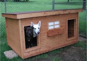 Double Door Dog House Plans Duplex Dog House Home Design Garden Architecture Blog Magazine