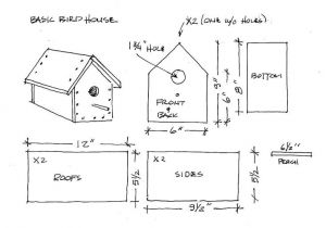 Duck House Plans Instructions 38 Free Birdhouse Plans Guide Patterns