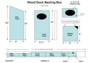 Duck House Plans Instructions How to Build A Wood Duck Nest Box Feltmagnet