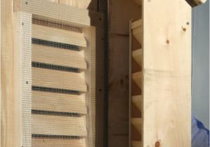 Easy Bat House Plans Bat Guys the Suburban Bat House