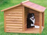 Easy Dog House Plans Large Dogs Diy Dog House for Beginner Ideas