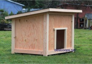 Easy Dog House Plans Large Dogs Large Dog House Plan 2 9 99 Picclick