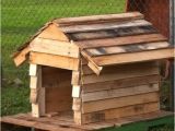 Easy to Build Dog House Plans Tips to Build Simple Dog House Out Of some Wooden Pallets
