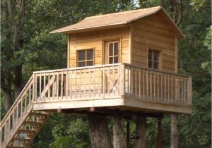 Easy to Build Tree House Plans Childrens Playhouse Treehouse Plans Blueprints for
