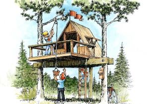 Easy to Build Tree House Plans Easy to Build Treehouse B4ubuild