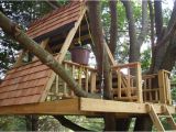 Easy to Build Tree House Plans How to Build A Simple Treehouse Step by Step