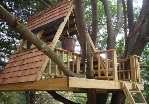 Easy to Build Tree House Plans How to Build A Simple Treehouse Step by Step