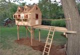 Easy to Build Tree House Plans How to Build A Tree fort How tos Diy