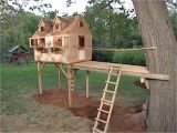 Easy to Build Tree House Plans How to Build A Tree fort How tos Diy
