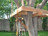 Easy to Build Tree House Plans How to Build A Tree House Plans Best House Design How to
