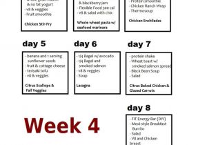 Eat at Home Meal Plans 25 Best Insanity Meal Plans Ideas On Pinterest Insanity