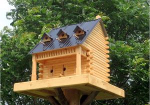 Elaborate Bird House Plans Decorative Bird House Plans Bird Houses the Backyard