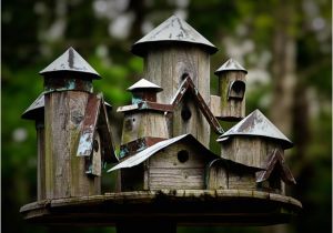 Elaborate Bird House Plans Diy Decorative Bird House Plans Wooden Pdf Bench Seat