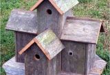 Elaborate Bird House Plans How to Build Bird House Plans Decorative Pdf Plans