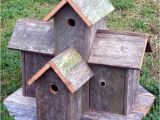 Elaborate Bird House Plans How to Build Bird House Plans Decorative Pdf Plans