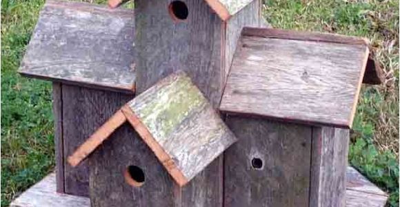 Elaborate Bird House Plans How to Build Bird House Plans Decorative Pdf Plans